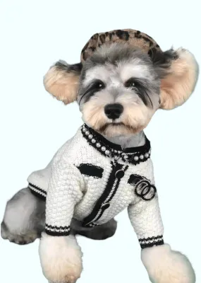 Coco Tweed Doggie Puppy Sweater