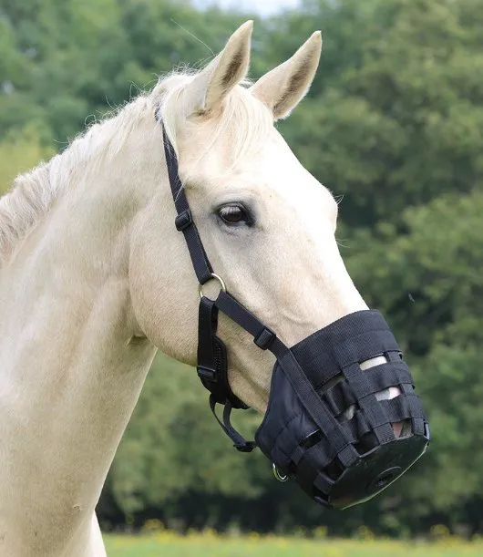 Shires Comfort Grazing Muzzle