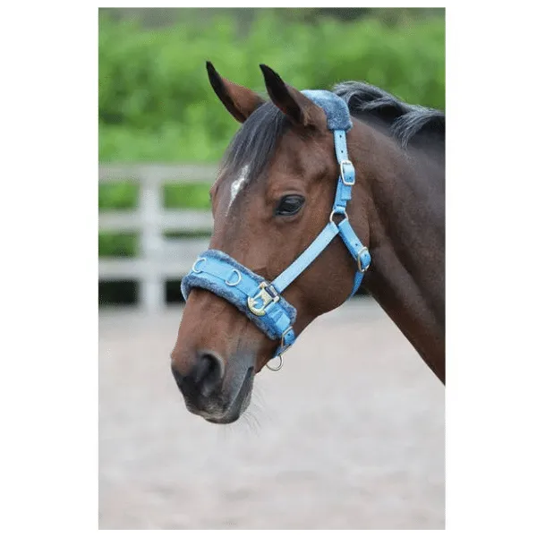 Shires Lunge Cavesson | Ingatestone Saddlery