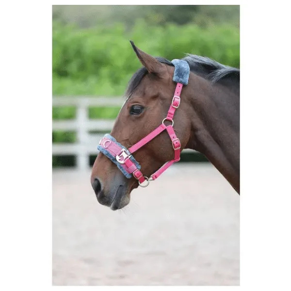 Shires Lunge Cavesson | Ingatestone Saddlery